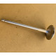 Intake valve SW400, SW266, 6CT107
