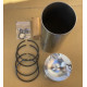 Piston with rings and cylinder block liner SW-400, SW400, 6C107, 6CT107 AUTOSAN BIZON LEYLAND