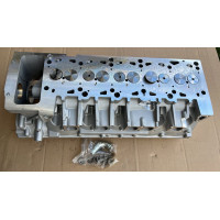 Головка ГБЦ комплектна VW 2.5 TDI AXD BAC AXE BLJ BLK (BNZ BPC BPD BPE) Touareg Crafter Transporter Multivan