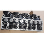 110393S900, 110393S901, 110393S902 Complete cylinder head TD25, TD25TI NISSAN