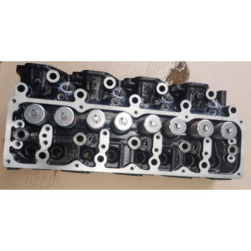 110393S900, 110393S901, 110393S902 Complete cylinder head TD25, TD25TI NISSAN