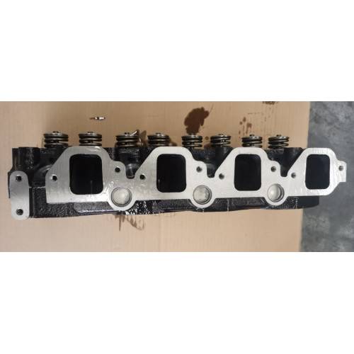 110393S900, 110393S901, 110393S902 Cylinder head TD25, TD25TI