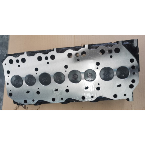 110393S900, 110393S901, 110393S902 Complete cylinder head TD25, TD25TI NISSAN