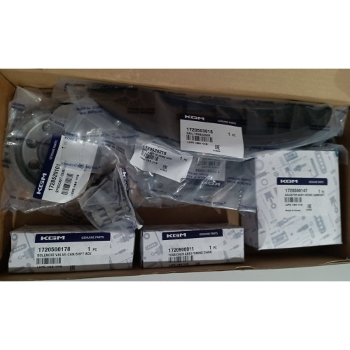 Buy online 1729970094 G20D GSL SsangYong Timing Chain Kit